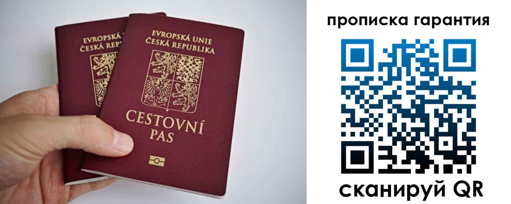 прописка в Невеле